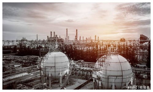 HAZOP分析在LNG储罐工艺流程审查中的应用——以LNG低温常压储罐为例